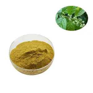 Free Sample water soluble herb Lei gong teng extract Tripterygium wilfordii extract Thunder God Vine extract