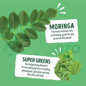 Complément Énergétique Gommes Super Greens Moringa pour Adultes Marque Privée OEM Sans Caféine Antioxydant Naturel Bénéfices Cérébraux et Cardiaques - Product Image 2
