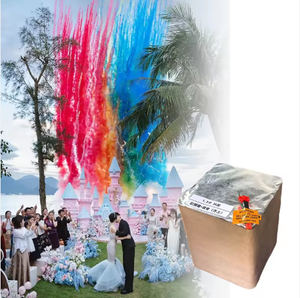Venta directa de fábrica china 1,2 pulgadas 25 disparos boda género revelar fiesta colorido humo pastel <span class=keywords><strong>fuegos</strong></span> <span class=keywords><strong>artificiales</strong></span> exterior - Product Image 4