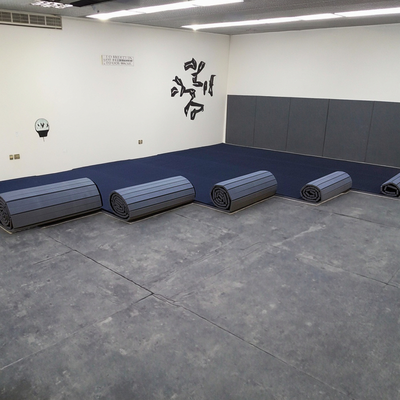 PVC Eco Friendly Anti Slip Karate