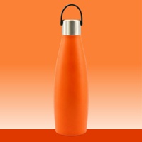 Bouteille isotherme double paroi 600 ml pour cola, eau pétillante, avec couvercle en acier, impression de logo personnalisé, pour homme et femme, vente en gros