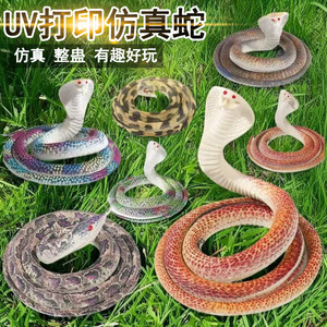 UV Printed <b>Snake</b> Soft Rubber Toy Long Plastic Animal Prank Prop For Children <b>Fake</b> <b>Snake</b> Wholesale - Product Image 5