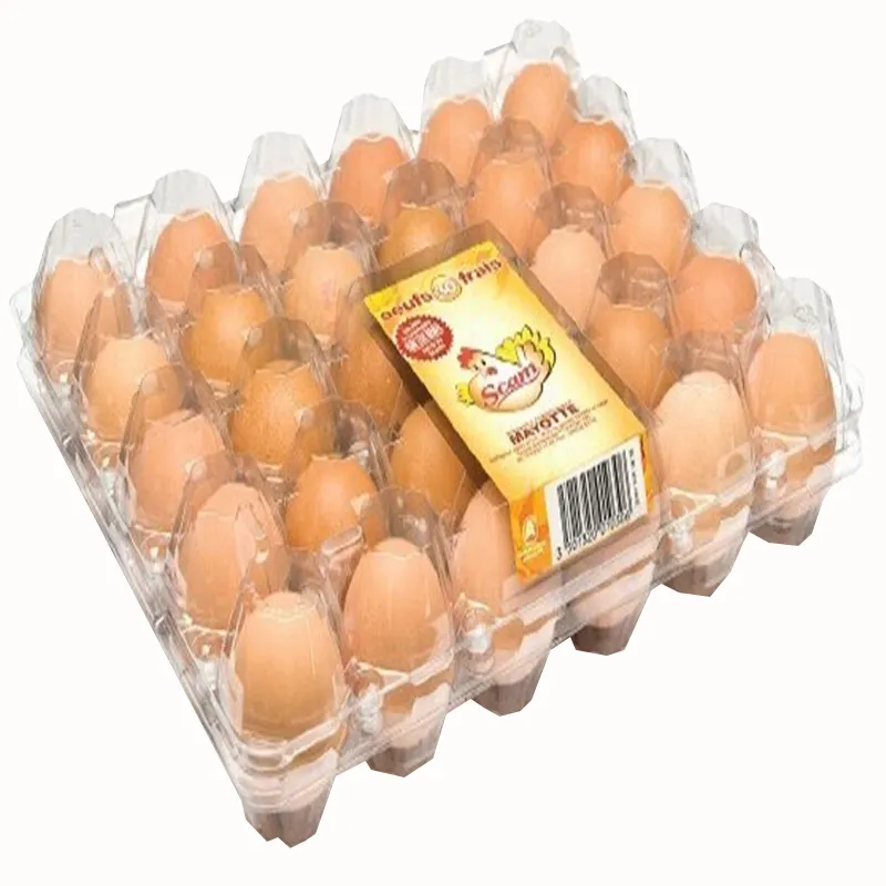 30 ثقوب PET بولي كلوريد الفينيل كرتونة بيض بلاسيتيكية لتعبئة البيض
