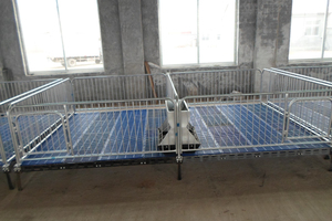 Enclos <span class=keywords><strong>de</strong></span> maternité pour porcelets galvanisé à chaud avec sol composite, cage <span class=keywords><strong>de</strong></span> sevrage durable en acier soudé pour l'élevage porcin - Product Image 2