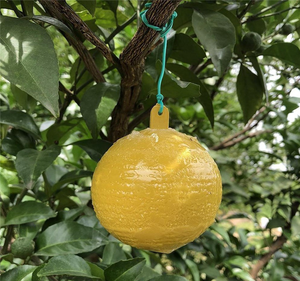 Bola <span class=keywords><strong>Atrapamoscas</strong></span> Reutilizable, Trampas para Moscas Fuertes, Eliminador de Moscas, Bola Colgante Adhesiva, Herramientas para Atrapar Moscas, Suministros para <span class=keywords><strong>el</strong></span> Hogar, Jardín y Patio - Product Image 3