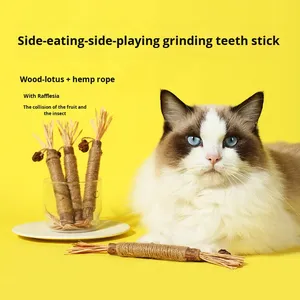 Juguete para Gatos <span class=keywords><strong>de</strong></span> Fruta <span class=keywords><strong>de</strong></span> Silvervine Natural al por Mayor - Juguete Ecológico para Masticar para Gatos con Logotipo Personalizado - Product Image 5