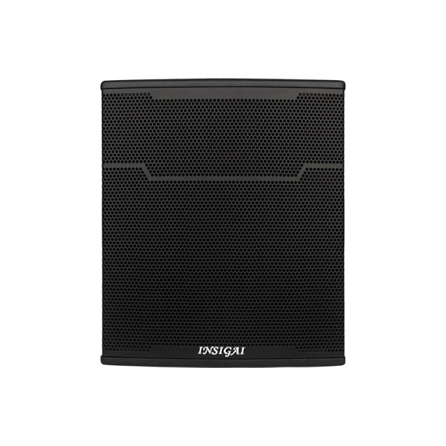 DGP10-10 Inch Passive Woofer Speakers Meeting Room Professional Audio Sound Equipment