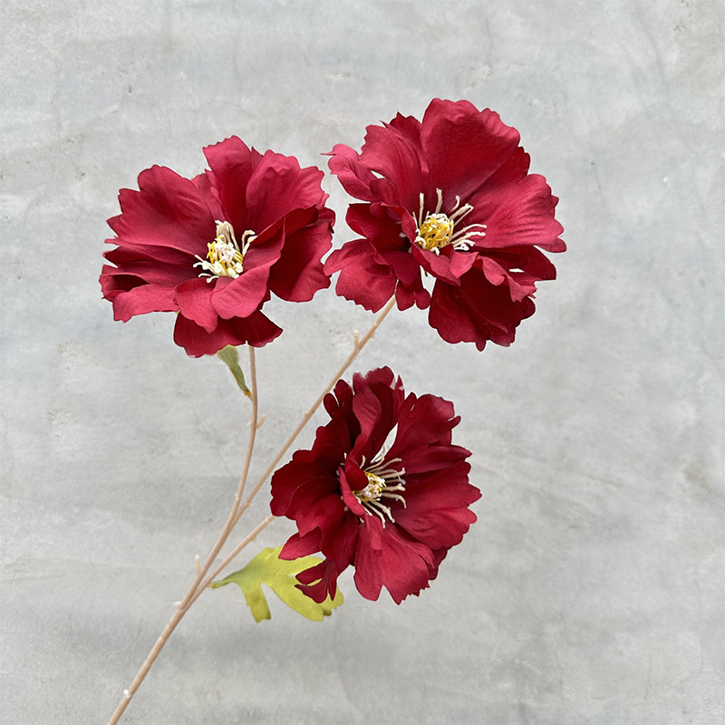 3-head Lanxi-Red