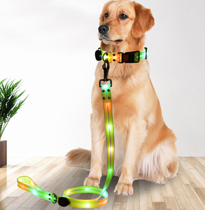 Hot Verkoop Verstelbare Led Kraag Usb Opladen Nylon Pvc Wrap Tape Nachtlampje Hond Riem Kraag Set Voor Nacht Gebruik - Product Image 6