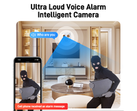 Slimme Uil Stijl Mini WiFi Beveiligingscamera CMOS Sensor Geheugenkaart 120° Groothoek Verborgen Ontwerp AI Detectie Tweerichtings Intercom