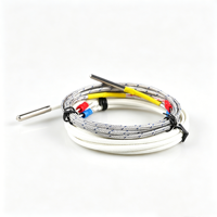 Sonde de température PT100, thermocouple K, sonde de température simple, 4*40mm, aiguille en acier inoxydable, résolution 0,1°C, OEM ODM