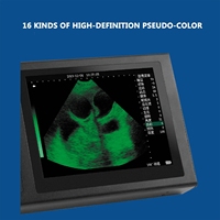 Scanner à ultrasons sans fil portable pour l'équipement vétérinaire à usage agricole pour vérifier la grossesse du bétail du chien