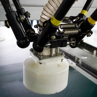 Robot d'emballage guidé par la vision, machine d'emballage de cartons industrielle, emballageur automatique de cartons pour le remplissage de boîtes