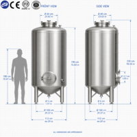 Cuve de fermentation de bière à levure 10000L en acier inoxydable 316L de qualité sanitaire, certifiée CE, personnalisable de 200L à 5000L