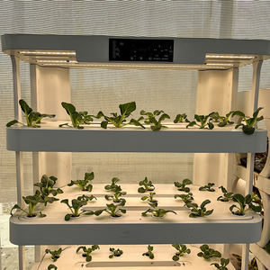 Kits complets de culture aquaponique et hydroponique pour la maison et le jardin, système de pompage haute rigidité, garantie 1,5 an, respectueux de l'environnement - Product Image 6