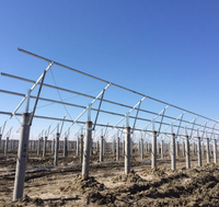 Structure de support de poteau au sol pour panneaux solaires photovoltaïques galvanisée à chaud avec couche de zinc élevée