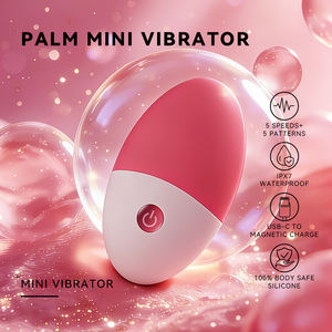 Kadınlar için Mini Başlangıç Seviyesi Vibratör, Taşınabilir Klitoral Bullet Vibratör, USB Şarjlı Silikon Seks Oyuncağı, OEM ODM Üretici - Product Image 6