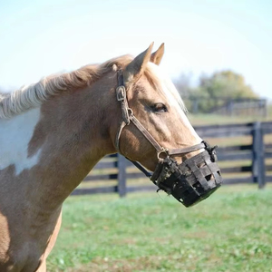 Práctico bozal para caballos con material fácil de limpiar para las necesidades diarias de mantenimiento del establo - Product Image 1