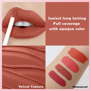أحمر شفاه مخصص جديد يدوم طويلاً ماركة صبغة شفاه مثيرة أحمر شفاه غير لامع عارية أطقم أحمر شفاه مستحضرات تجميل مقاومة للماء غير لامع - Product Image 4