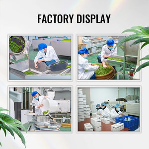 Hochwertiger Zusatzstofffreier Schadstofffreier Magenblutungen-Lindernder Hunan Dunkler Tee Nabelschnur-Reinigender Entgiftungstee - Product Image 6