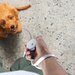Correa Retráctil para Mascotas de 2 Metros, Correa de Tracción Automática para Perros Pequeños, Mini Correa Redonda y Cuadrada Resistente para Exteriores - Product Image 2