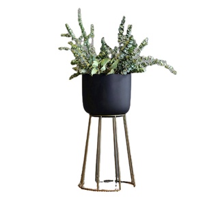 Support de sol pour pot de fleurs, présentoir d'intérieur, or, vente en gros, plantes cactus et jardinières, métal, jardin, fer, moderne, maison, mariage, cuisine - Product Image 2