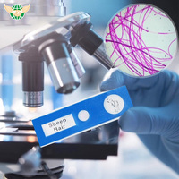 Children's Plastic Blue Prepared Microscope Slides Biological Animals Specimen Plants Insects Flowers Sample Accessories