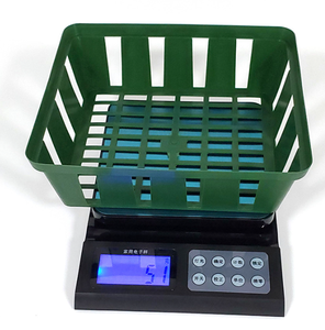 Panier rond en plastique d'ampoule de <span class=keywords><strong>tamis</strong></span> de semis d'utilisation de jardin de grande qualité <span class=keywords><strong>pour</strong></span> des plantes - Product Image 3