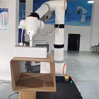 Cobot Flexible de 6 Ejes para Cajas de Cartón Corrugado, Brazo Robótico de Embalaje de Doble Brazo con Motor y Caja de Engranajes, Carga Útil de 10 KG para Fábrica