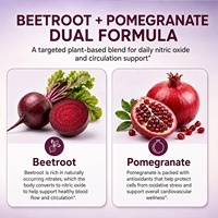 Capsules de Formule 2-en-1 Betterave + Grenade Marque Blanche OEM avec Extrait de Betterave et de Grenade pour le Soutien de l'Oxyde Nitrique
