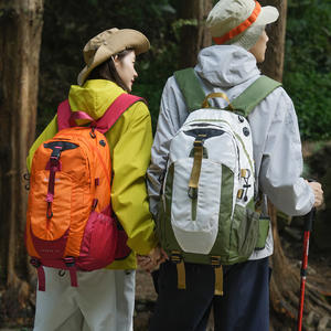 Sac à dos de voyage imperméable de grande capacité en gros, tendance, sport, loisirs, sac de sport, sac de randonnée personnalisé - Product Image 1