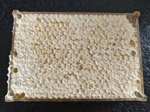 Hot Sale Factory Direct <strong>Fresh</strong> Organic Raw <strong>Honeycomb</strong> 100% Pure Natural Food Grade Comb Honey Bulk Wholesale Supply - Product Image 5