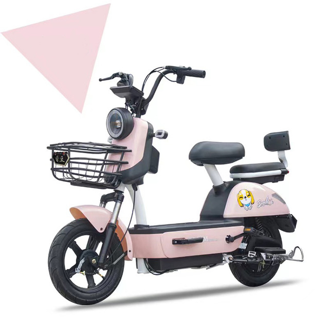 48v 20ah Electric Bike Ebike Electric Bicycle 400W Electric City Bike for Adult