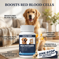 Compléments multivitaminés OEM ODM pour animaux de compagnie, soins quotidiens pour animaux, compléments pour la santé des animaux, soins du système immunitaire pour chiens et chats