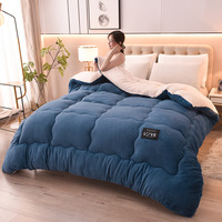 Couettes d'hiver épaisses à double couche de couleur unie Couette polaire Sherpa en peluche douce et chaude