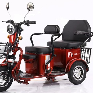 Triciclo Motorizado para Adultos de 800W, Bicicleta Eléctrica de Carga con Carrocería Abierta, Capacidad de Carga de 200-300 kg, Logotipo Personalizado OEM ODM - Product Image 1