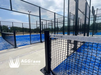 Terrain de padel intérieur en gazon artificiel 12 mm, gazon durable en acier, prix abordable, gazon AlwaysGreen, support en PU haute densité, 10m*20m