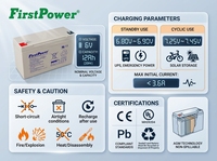Batería Recargable de Plomo-Ácido sin Mantenimiento FirstPower FP6120 6V12Ah para Sistemas de UPS, Instrumentos y Control de Acceso