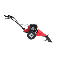 Tondeuse à gazon agricole à essence 4 temps avec fonction de démarrage facile, moteur 231CC, puissance 6,5HP pour les jardins