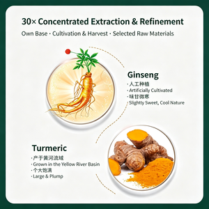 Superfood Ginseng-Kurkuma-Pulver Instantgetränk in Einzelportionsbeuteln, Kräutergetränk für Supermärkte und Online-Shops - Product Image 2