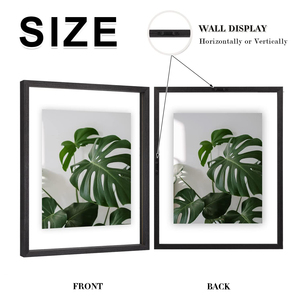 Khung ảnh bằng gỗ tự nhiên với khung kính đôi tối thiểu sinh thái Khung ảnh gỗ - Product Image 3