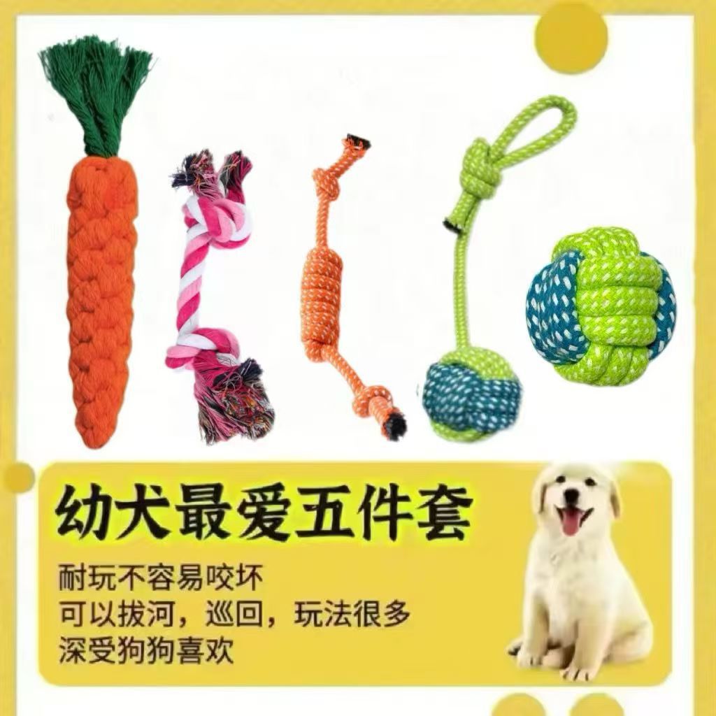 [Chiot] Kit de nettoyage et de broyage dentaire 5 pièces A