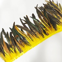 Plumes de coq teintées de 12-14 pouces/30-35 cm, franges de plumes, garnitures pour accessoires de costume de carnaval, plumes de coq