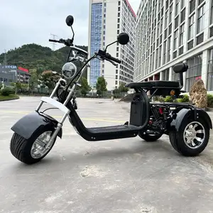 2024 Eu Warehouse Free Shipping 2000W 100Km Long Range Electric City Coco Golf Cart 3 Wheel Tricycle Electric Citycoco Scooter