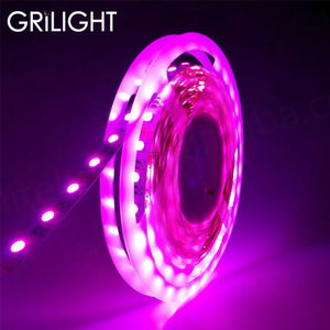 Bande LED de haute qualité, étanche, résistante à l'eau, IP20, IP65, IP67, IP68, DC12V, SMD 5050, RGBW - Product Image 1