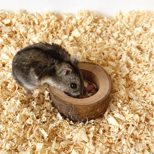 Petit bol pour animaux de compagnie, bol d'alimentation rond en bois <span class=keywords><strong>dur</strong></span> et résistant pour <span class=keywords><strong>hamster</strong></span>, petaugeoire - Product Image 3