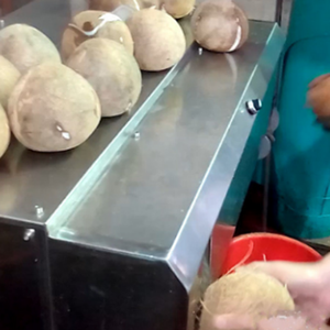 Nueva descascaradora y peladora eléctrica de coco - Product Image 6