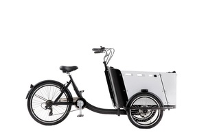 Vélo cargo électrique 250W à <span class=keywords><strong>3</strong></span> roues <span class=keywords><strong>pour</strong></span> la famille - Product Image 5