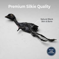 Friandises pour chiens au poulet noir séché à l'air, recette traditionnelle pour la santé et la vitalité, viande séchée naturelle pour chiens
