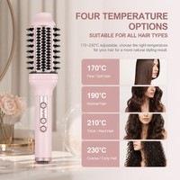 Brosse lissante pour cheveux Torlin Plasma 100 220V 80W Chauffage double PTC 230 ℃   450 ℉   Brosse redresseuse en nylon LED PET